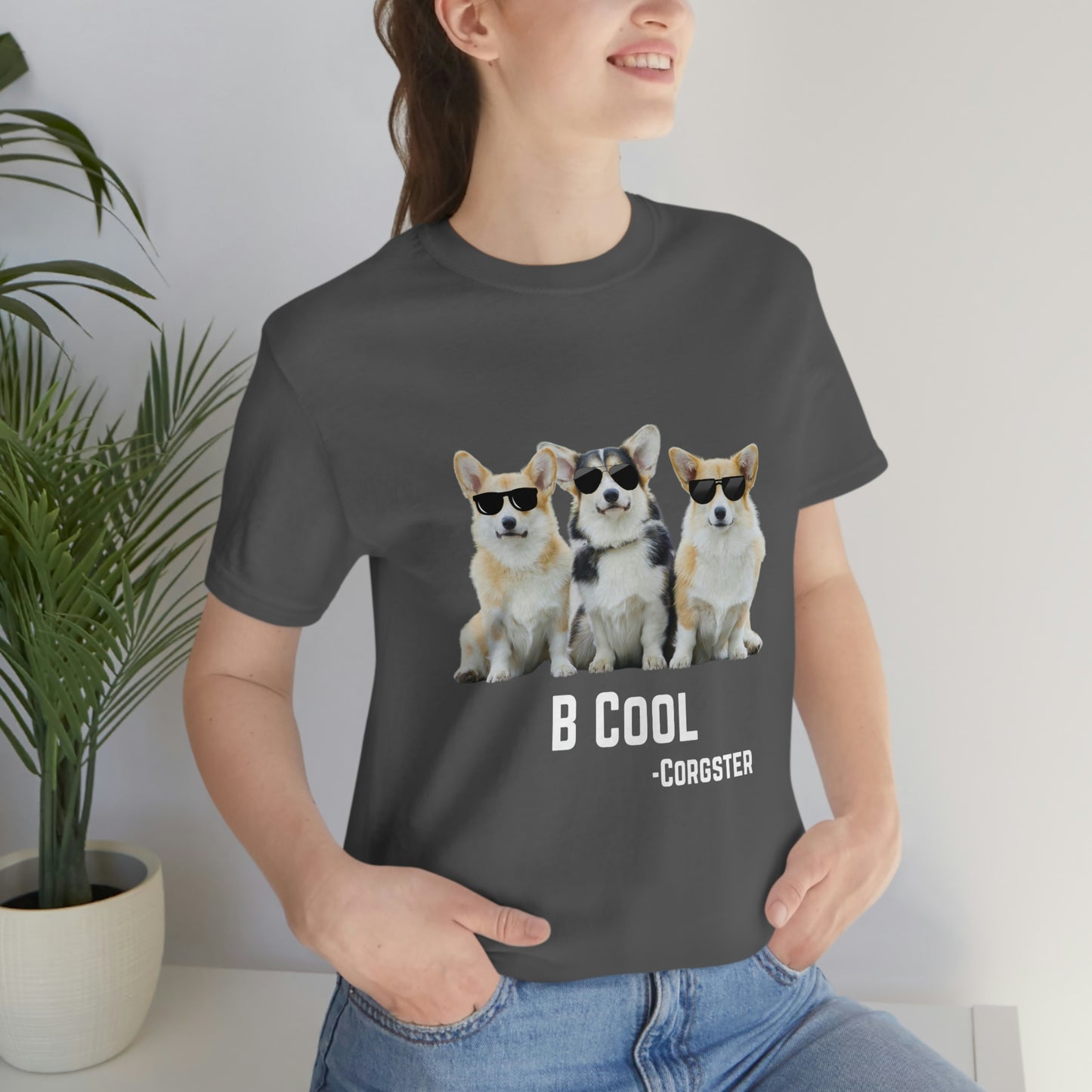 B Cool - The Corgster